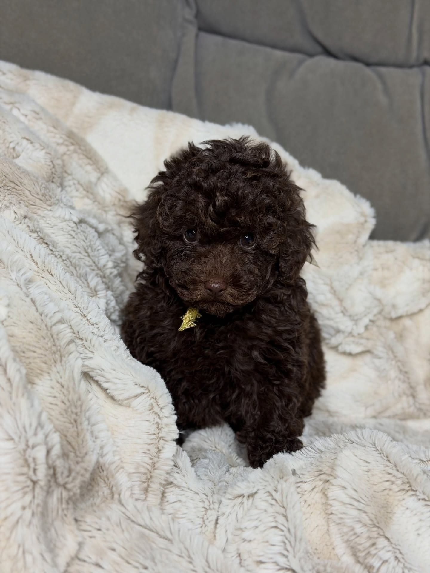 Zoey