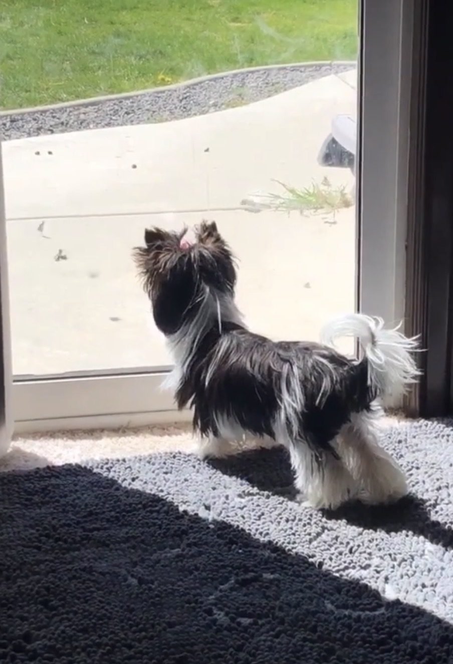 Max