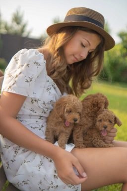 Sarah Matthews's puppy
